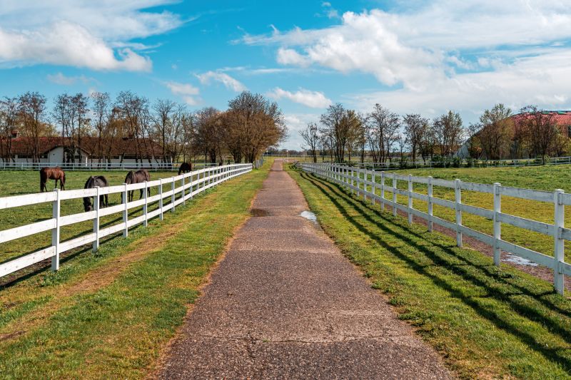 Paddock Fence Installation in Pearland, TX