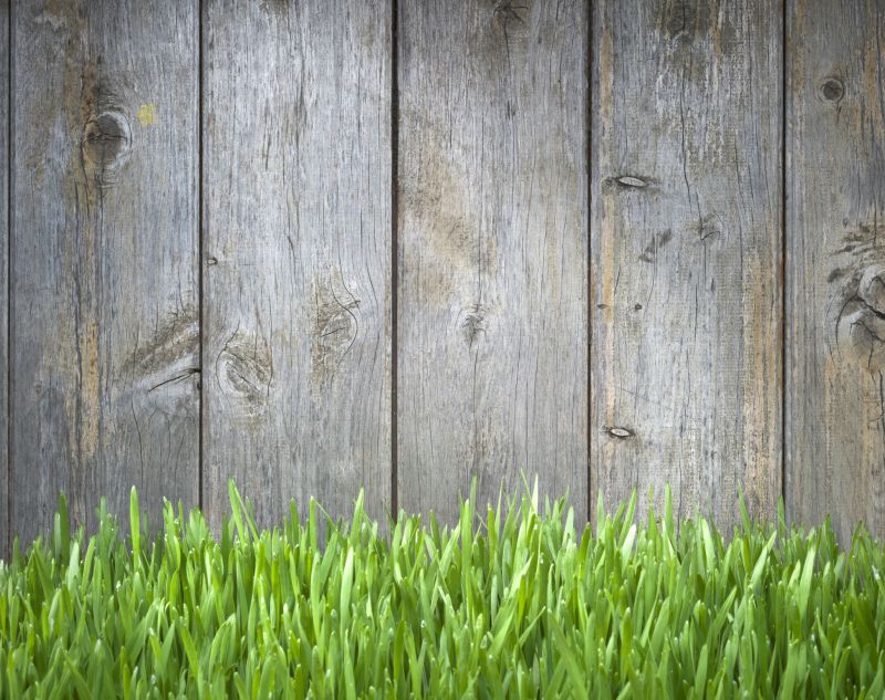 Scalloped Fence Installation in Pearland, TX