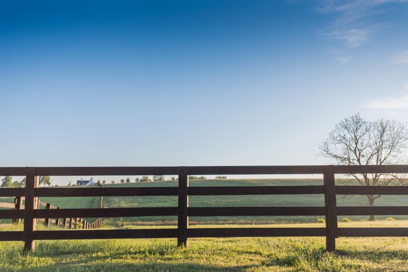 Stable Fencing Installation in Sacramento, CA
